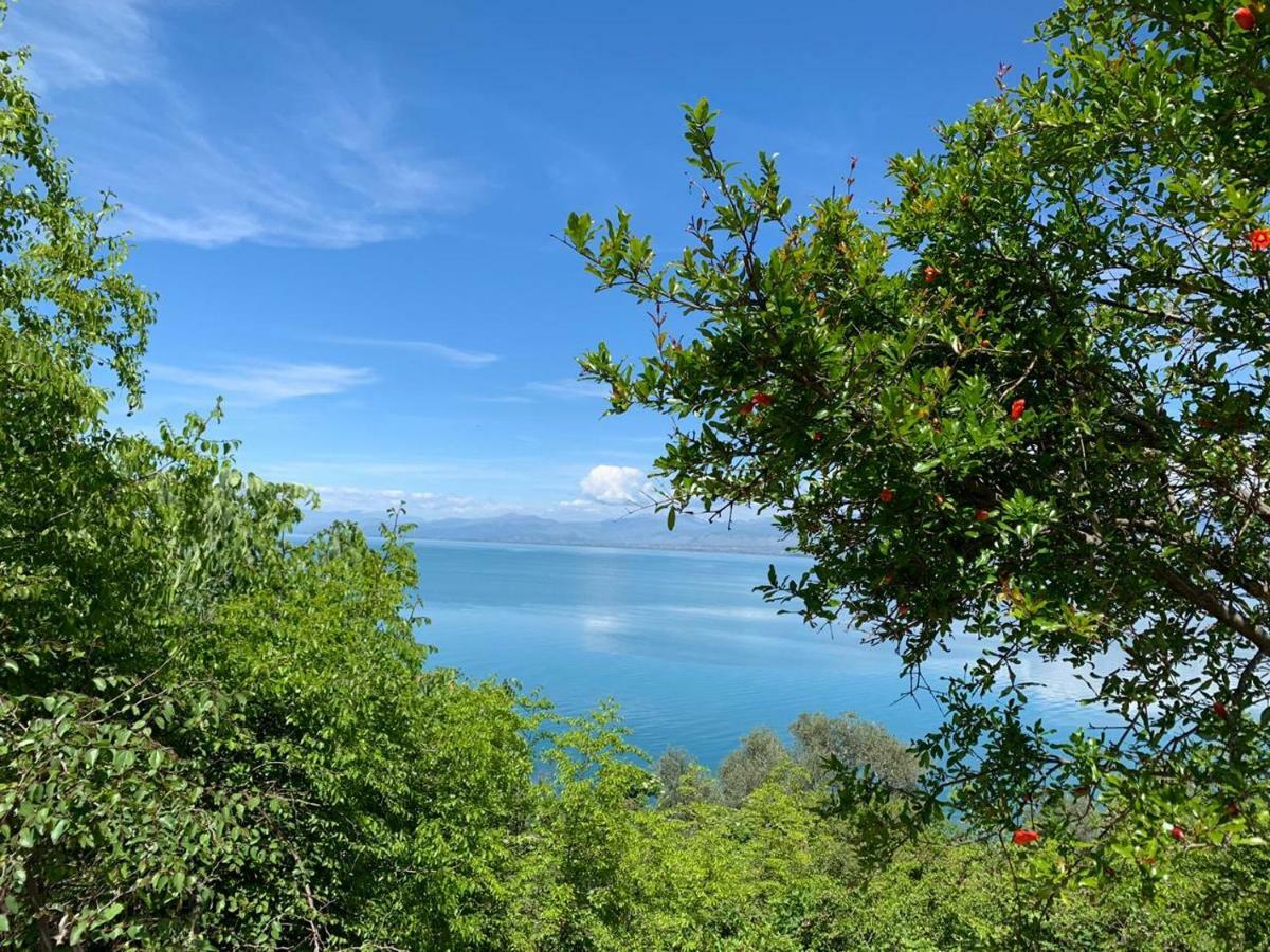 Vani I Bardhe Villa Zogaji